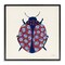 Stupell Industries Rose Blooming Beetle Framed Giclee Wall Art Design by Yvette St. Amant